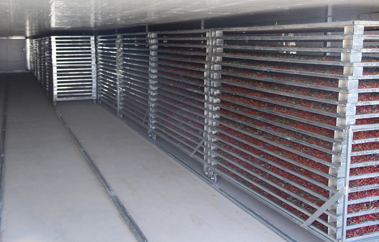 1513393634631421.jpg 1-151123143200338.JPG