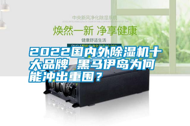 2022國內(nèi)外除濕機(jī)十大品牌 黑馬伊島為何能沖出重圍?