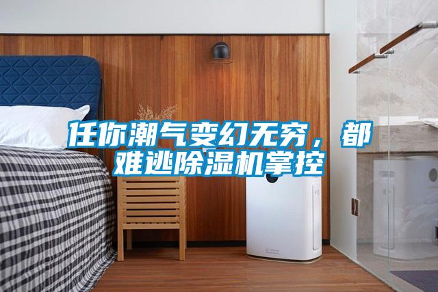 任你潮氣變幻無窮,都難逃除濕機掌控