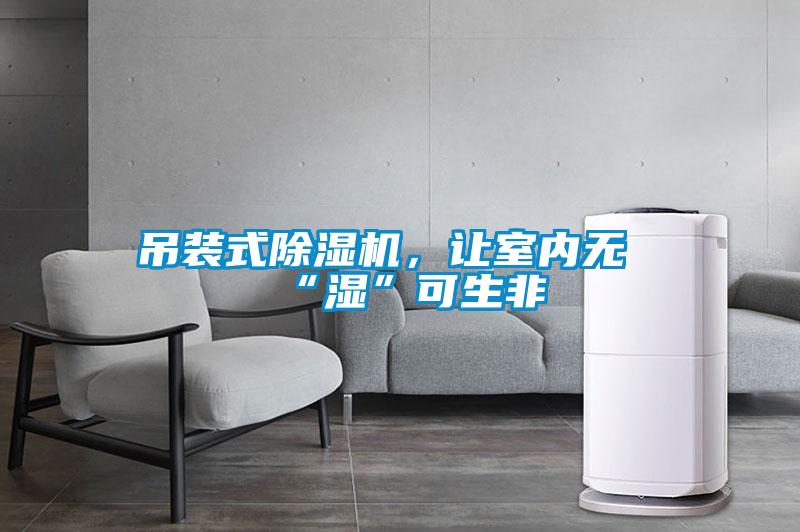 吊裝式除濕機,讓室內無“濕”可生非