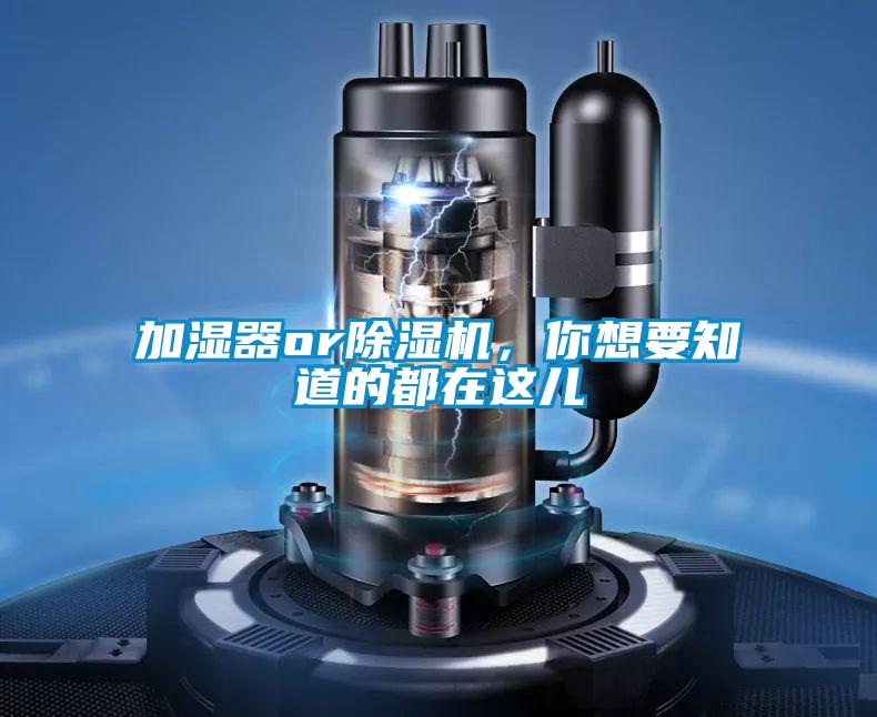 加濕器or除濕機,你想要知道的都在這兒