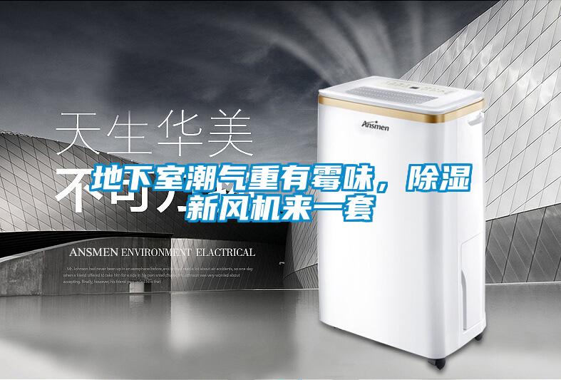 地下室潮氣重有霉味，除濕新風機來一套