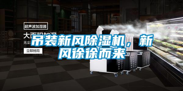 吊裝新風除濕機,新風徐徐而來