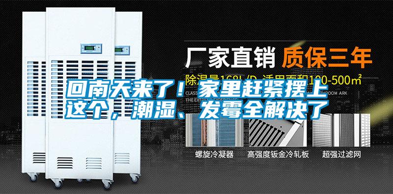 回南天來了!家里趕緊擺上這個,潮濕、發霉全解決了