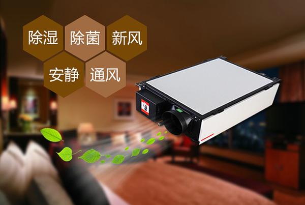 只有做好品牌,除濕機企業才能更長久