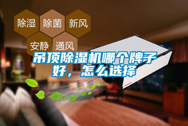 吊頂除濕機哪個牌子好，怎么選擇