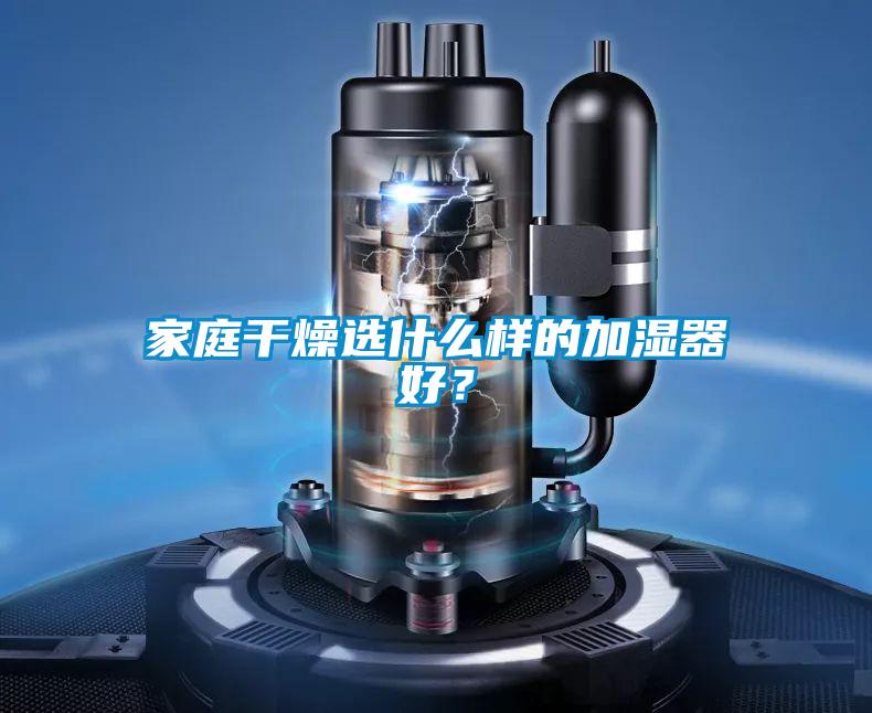 家庭干燥選什么樣的加濕器好?