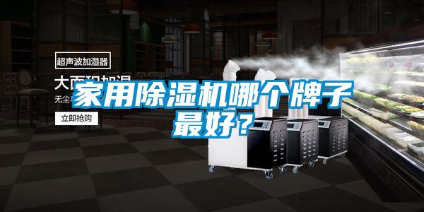 家用除濕機哪個牌子最好?
