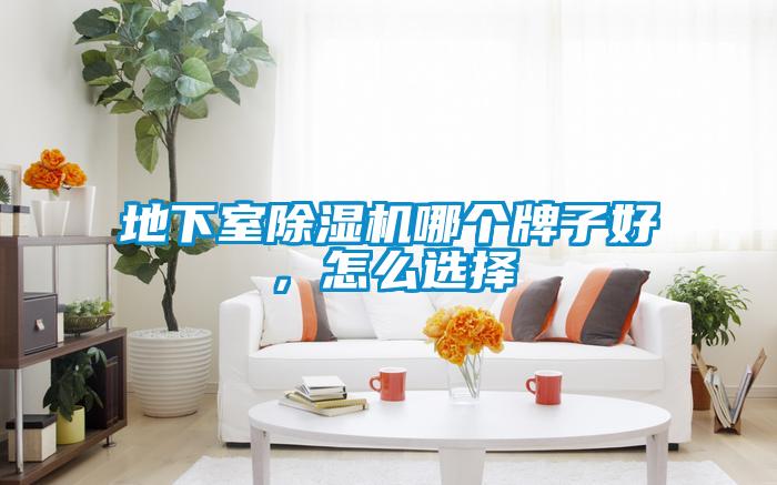 地下室除濕機(jī)哪個牌子好,怎么選擇