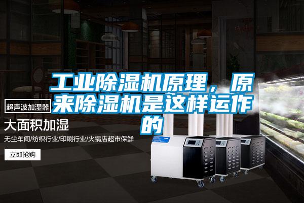 工業除濕機原理,原來除濕機是這樣運作的