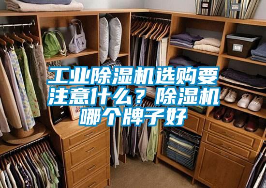 工業(yè)除濕機(jī)選購(gòu)要注意什么?除濕機(jī)哪個(gè)牌子好