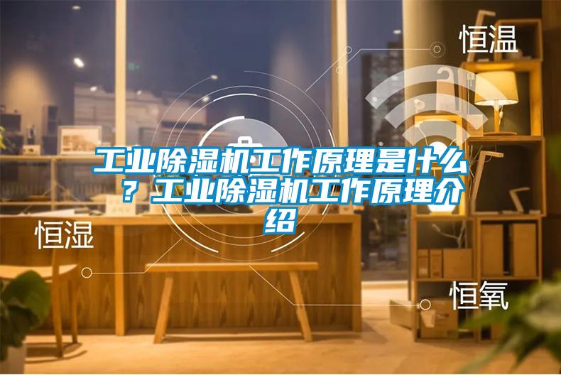 工業除濕機工作原理是什么 ?工業除濕機工作原理介紹