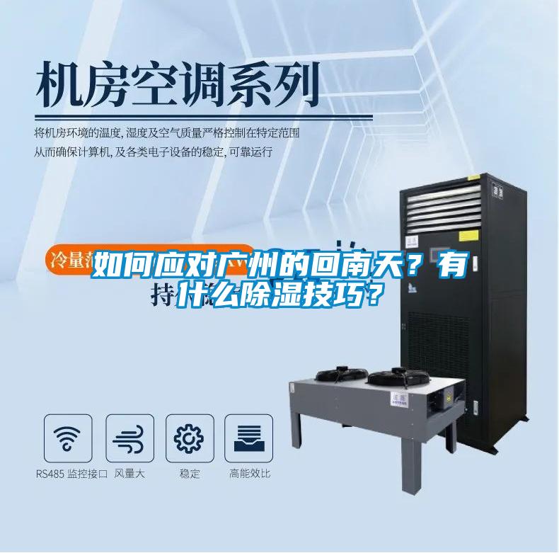 如何應對廣州的回南天？有什么除濕技巧？