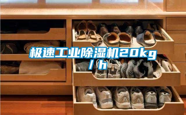 極速工業除濕機20kg/h