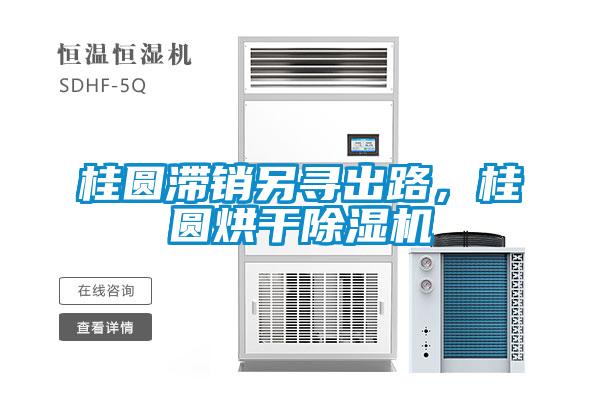 桂圓滯銷另尋出路,桂圓烘干除濕機