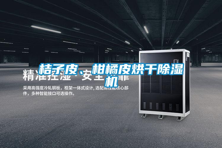 桔子皮、柑橘皮烘干除濕機