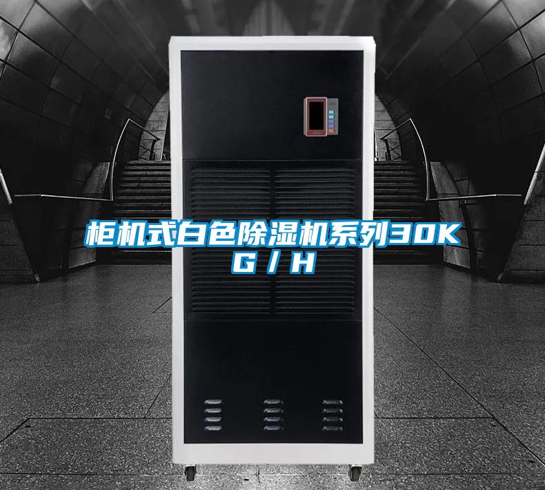 柜機式白色除濕機系列30KG/H