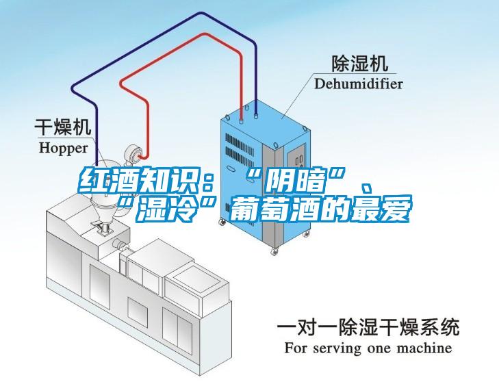 紅酒知識：“陰暗”、“濕冷”葡萄酒的最愛