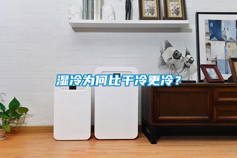 濕冷為何比干冷更冷?