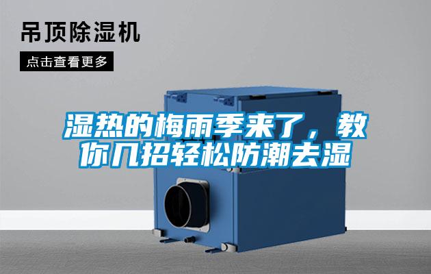 濕熱的梅雨季來了，教你幾招輕松防潮去濕