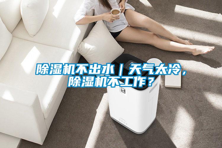 除濕機(jī)不出水｜天氣太冷，除濕機(jī)不工作？