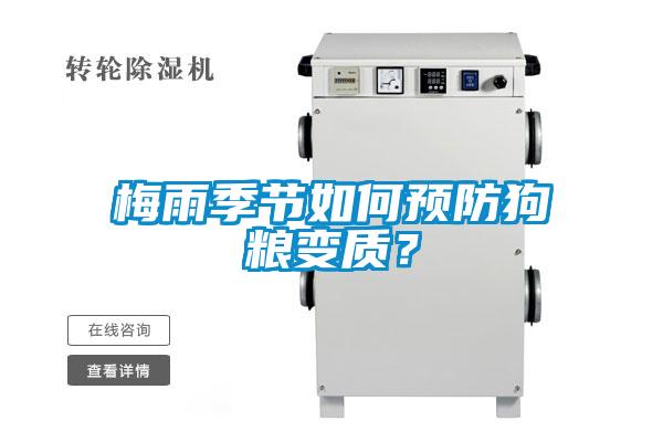 梅雨季節如何預防狗糧變質?