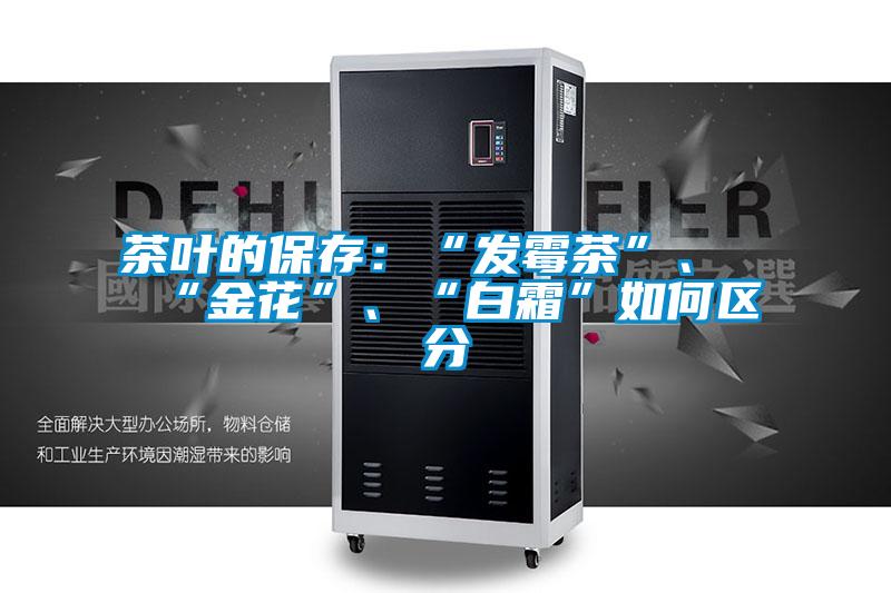 茶葉的保存：“發(fā)霉茶”、“金花”、“白霜”如何區(qū)分