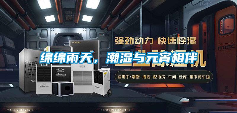 綿綿雨天,潮濕與元宵相伴