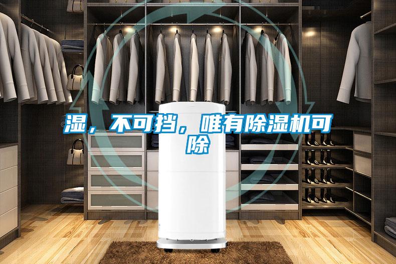 濕,不可擋,唯有除濕機(jī)可除