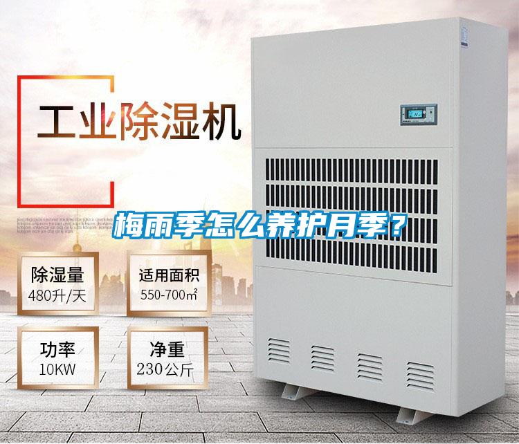 梅雨季怎么養(yǎng)護(hù)月季?