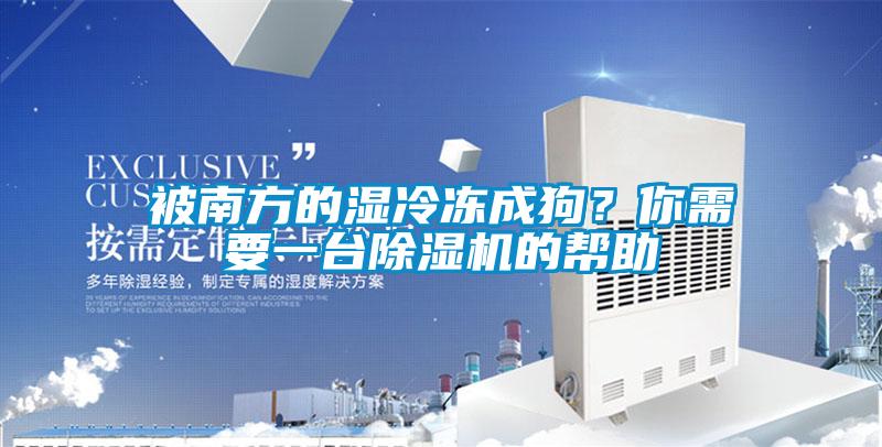 被南方的濕冷凍成狗？你需要一臺除濕機的幫助