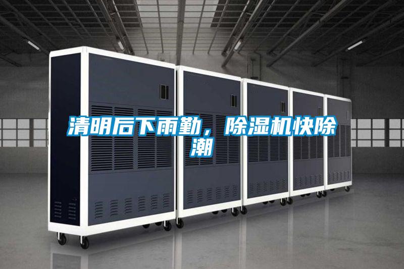 清明后下雨勤，除濕機快除潮
