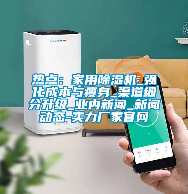 熱點(diǎn):家用除濕機(jī)_強(qiáng)化成本與瘦身_渠道細(xì)分升級(jí)_業(yè)內(nèi)新聞_新聞動(dòng)態(tài)-實(shí)力廠家官網(wǎng)