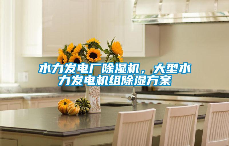 水力發電廠除濕機,大型水力發電機組除濕方案
