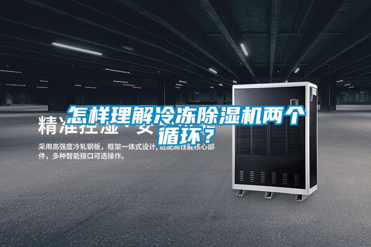 怎樣理解冷凍除濕機兩個循環？