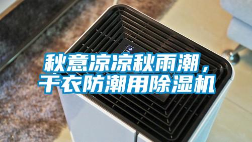 秋意涼涼秋雨潮,干衣防潮用除濕機(jī)