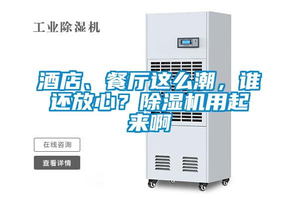 酒店、餐廳這么潮，誰還放心？除濕機用起來啊