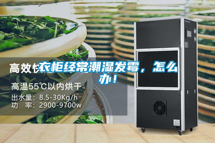 衣柜經常潮濕發霉，怎么辦！