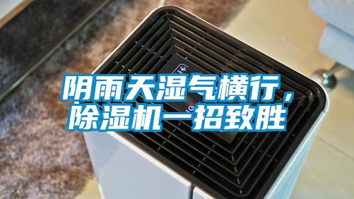 陰雨天濕氣橫行，除濕機一招致勝