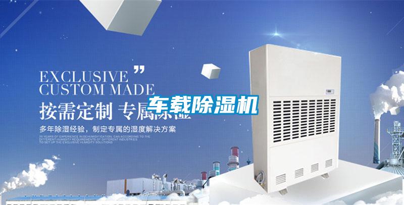 車載除濕機(jī)