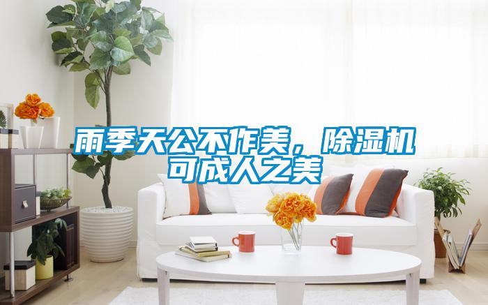 雨季天公不作美,除濕機可成人之美