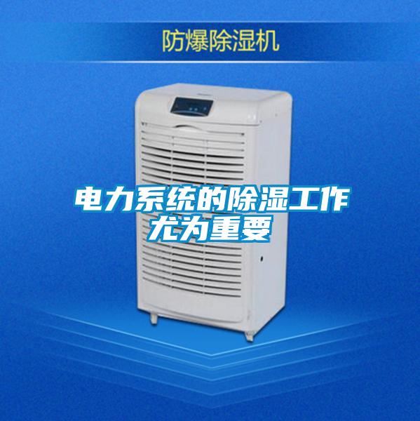 電力系統的除濕工作尤為重要