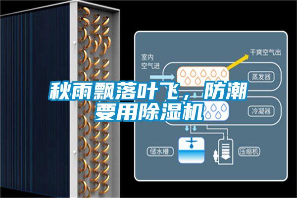 秋雨飄落葉飛,防潮要用除濕機