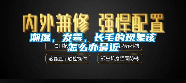 潮濕,發(fā)霉,長毛的現(xiàn)象該怎么辦最近