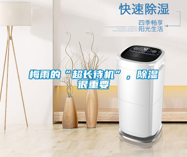 梅雨的“超長待機”,除濕很重要