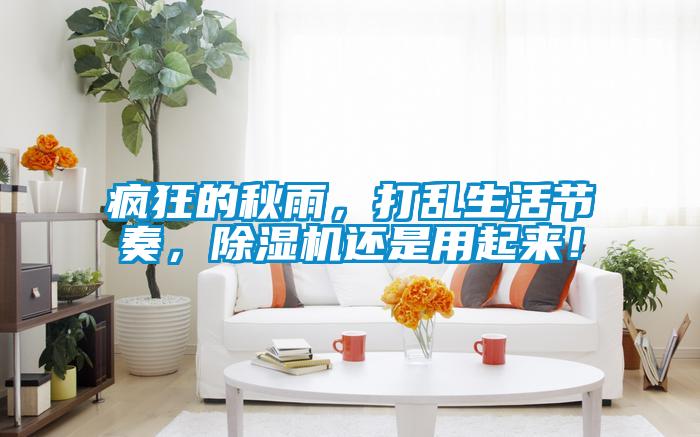 瘋狂的秋雨，打亂生活節奏，除濕機還是用起來！