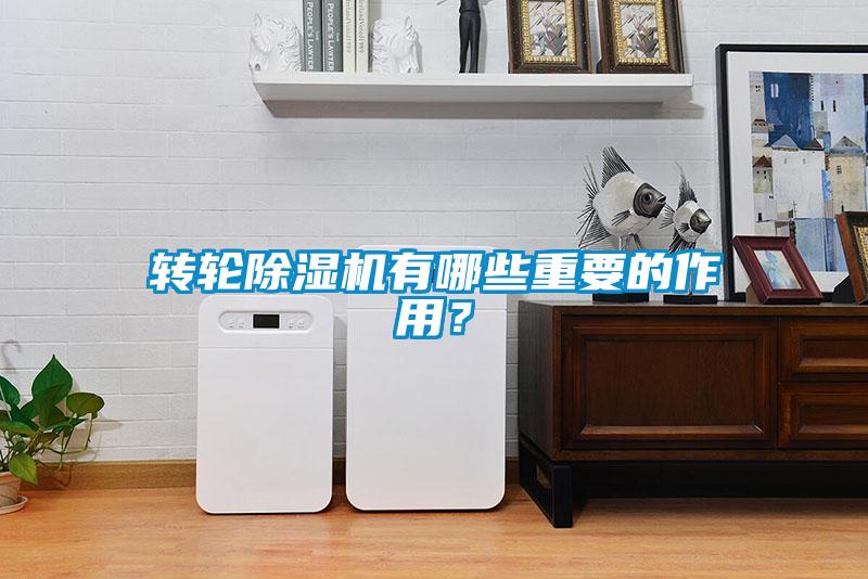 轉(zhuǎn)輪除濕機(jī)有哪些重要的作用?