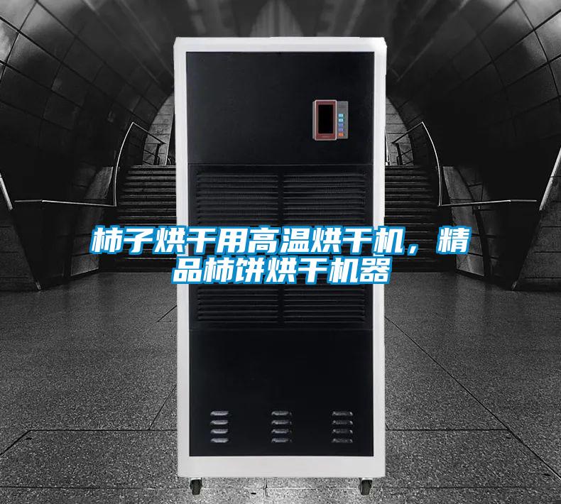 柿子烘干用高溫烘干機,精品柿餅烘干機器