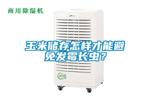 玉米儲(chǔ)存怎樣才能避免發(fā)霉長(zhǎng)蟲(chóng)?