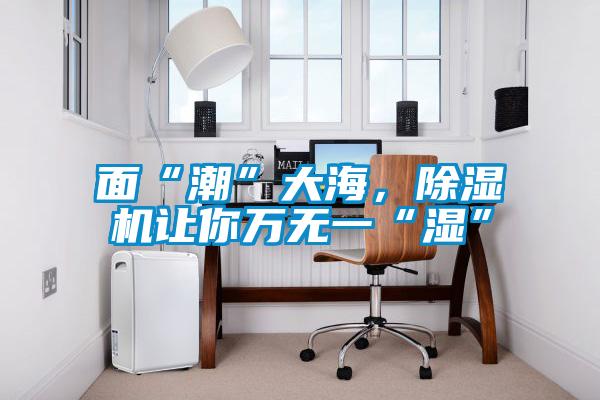 面“潮”大海,除濕機讓你萬無一“濕”